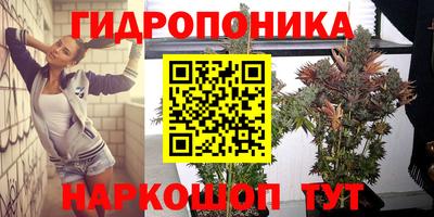 a pvp Бугуруслан