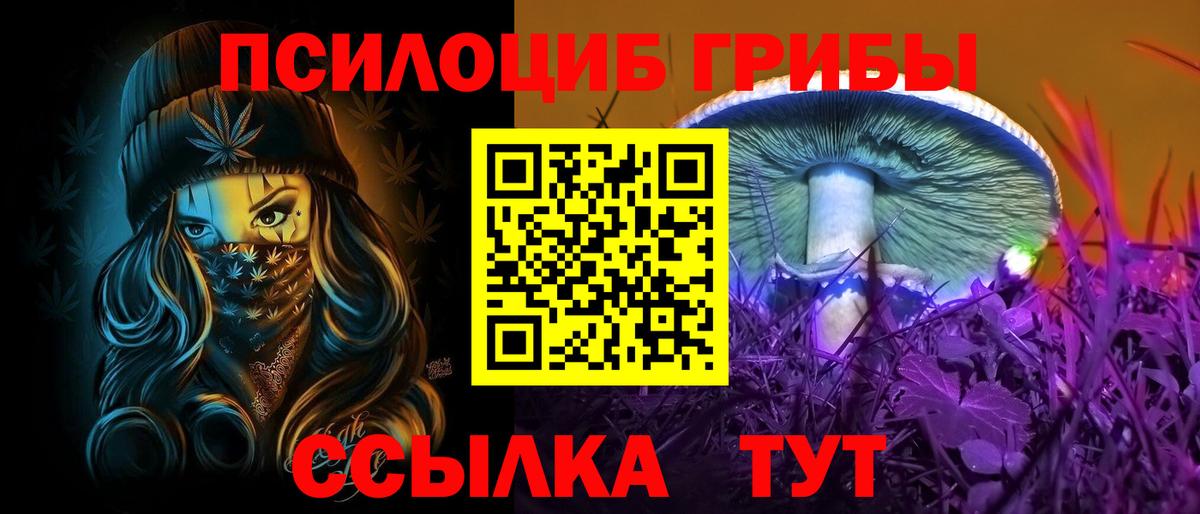 Галлюциногенные грибы Psilocybine cubensis Печора